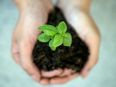 QMS ISO 14001 Nachhaltigkeit